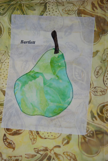 Famous Pears Close Up 2