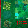If I Were a Colour, I Would be Green 2013 Gwen Ford